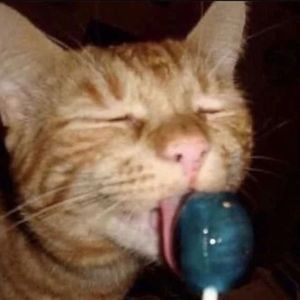 Meet your Posher, Tavia